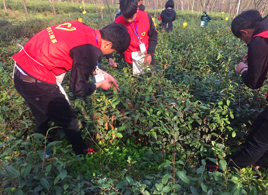 微信图片_20180326183241.jpg