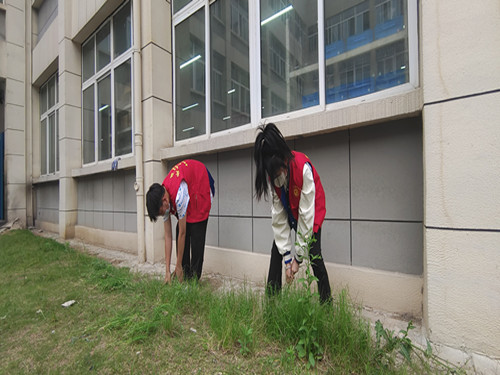 微信图片_20220513163753_副本.jpg 微信图片_20220513163753_副本.jpg